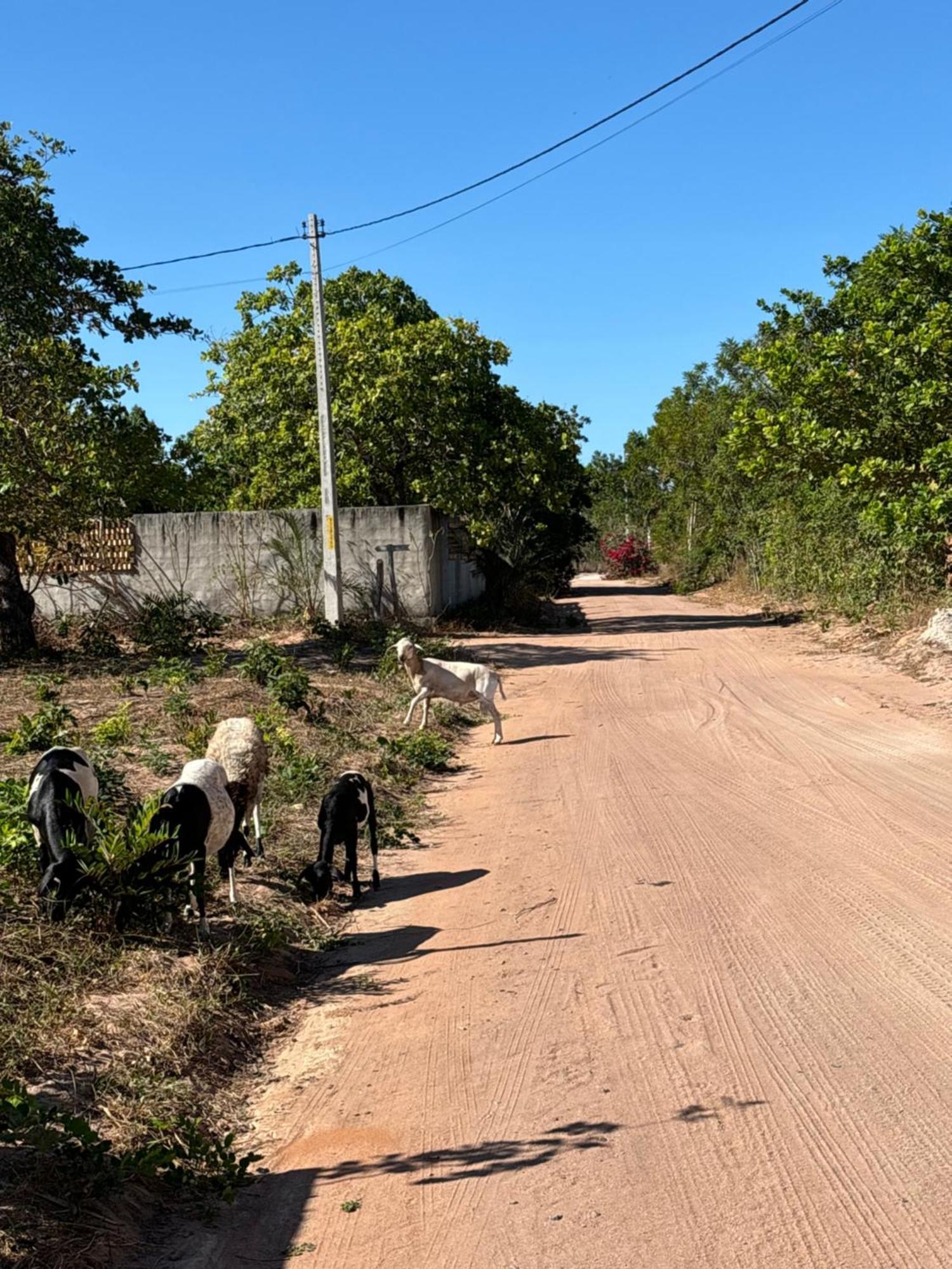 Casa Da Lagoa Jijoca de Jericoacoara Εξωτερικό φωτογραφία