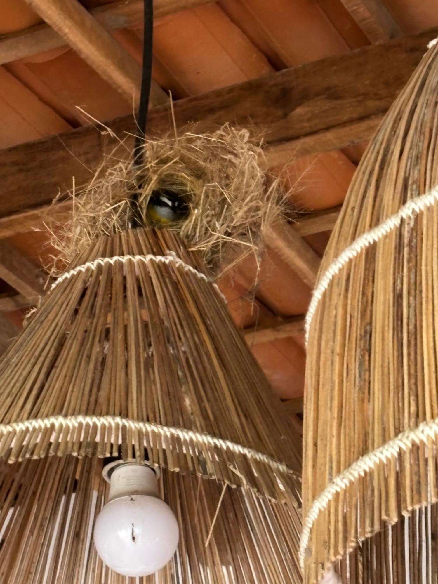 Casa Da Lagoa Jijoca de Jericoacoara Εξωτερικό φωτογραφία